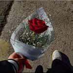 nada. masri - @nada_masri_523 - Instagram