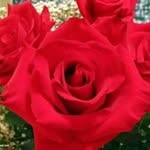 Nada Mesbah - @mesbah.nada - Instagram