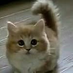 Nada Mesbah - @mesbahnada - Instagram