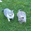 Maya&LiLi - @nadanaim22 - TikTok