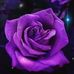 Nada Omar - Facebook