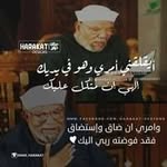 Nada Radwan - @nada.radwan.3344 - Instagram
