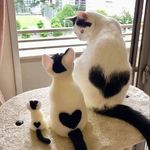 @nad_arami - Instagram