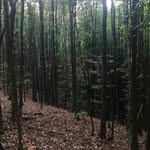 Nada Jurić Rašić - @nadali_71_ - Instagram