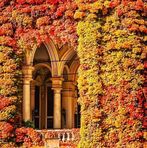 Nada Rašić - Facebook