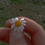 nada saoud - @nada2008354 - Instagram