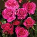 Nadeem Ejaz - Facebook