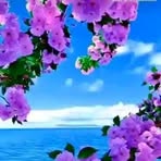 Nadeem Farooq - Facebook