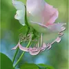 nadeem - @nadeemfarooq31nad - TikTok