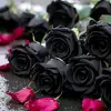 Nadeem Nazami - @nadeem.nazami - TikTok