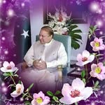 Nadeem Parvez - @nadeem.parvez.5 - Instagram