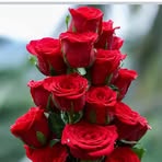 Nadeem Pervez - Facebook