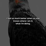 Nadeem Reshi - @nadeem.reshi.90 - Instagram
