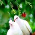 Nadeem Reshi - Facebook