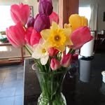 Nadeen Verrill Baker - @nadeen.baker - Instagram