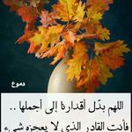 Nadeen Silem Gaber - @nadeensilemgaber - Instagram