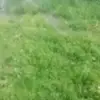 نادر الخطيب - @naderalkhatib3 - TikTok