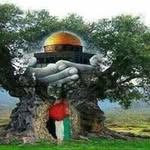 Nader Alkhatib - @alkhatib_nader - Instagram