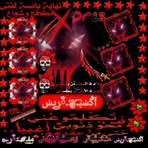 Nader Amer - Facebook
