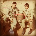 nader amini - @nader_amini_rashed - Instagram