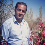 nader amini - @nader_amini03 - Instagram