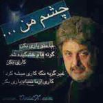 Nader Amini - @naderamini61 - Instagram