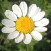 nader_asad - @nader_asad - TikTok