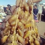 Nader Badreddine - @naderbadreddine4 - Instagram
