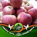 Nader Badreddine - Facebook