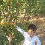 nader.bahar - @nader.bahar78 - Instagram