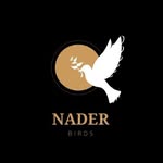 Nader Birds - @naderbirds - Instagram