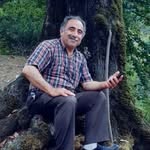 naderbirangi - @naderbirangi38 - Instagram
