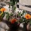 user2965954838467 - @naderbirsingh - TikTok