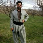 nader majidi - @naderborhani286 - Instagram