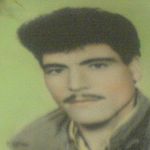 nader emami - @naderem5 - Instagram