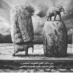 Nader galal - @nader_galal94 - Instagram