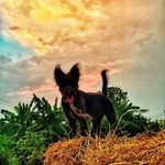 Nader George - @nadergeorge4 - Instagram