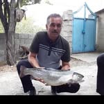 nader.gholami - @nader.gholami43 - Instagram