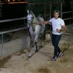 Nader Jaber - @nadermjaber - Instagram