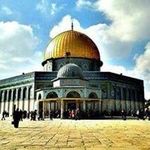 naderjaber - @naderjaber292 - Instagram