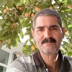 naderrajaee - @naderrajaee3 - Instagram