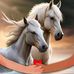 Nader Taha - Facebook