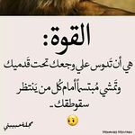 Nader Taha - @nadertaha9120 - Instagram