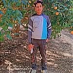 نادر أشرف وهبه - @naderwahba148 - Instagram