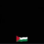 Nader Wahba - @naderwabba2010 - Instagram
