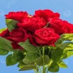 Nadia Abed Abed - Facebook