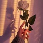 Nadia Aleem - @nadia.aleem.754 - Instagram
