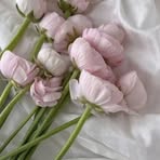Nadia Ammar - Facebook