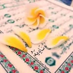 nadiaammar - @nadiaammar55 - Instagram