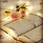 nadia amro - @na.amro208 - Instagram